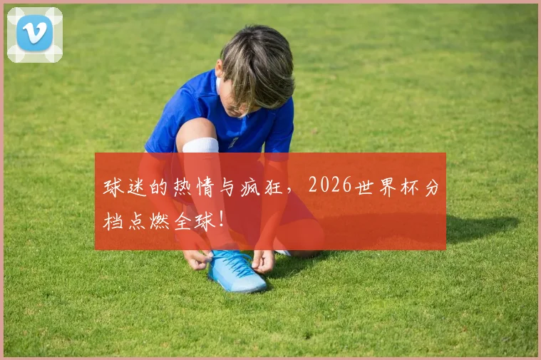 球迷的热情与疯狂,2026世界杯分档点燃全球!